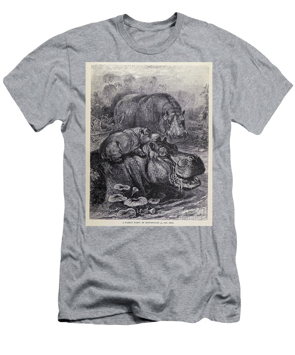 A Family Party of Hippopotami M5 Historic Illustrations T-Shirt