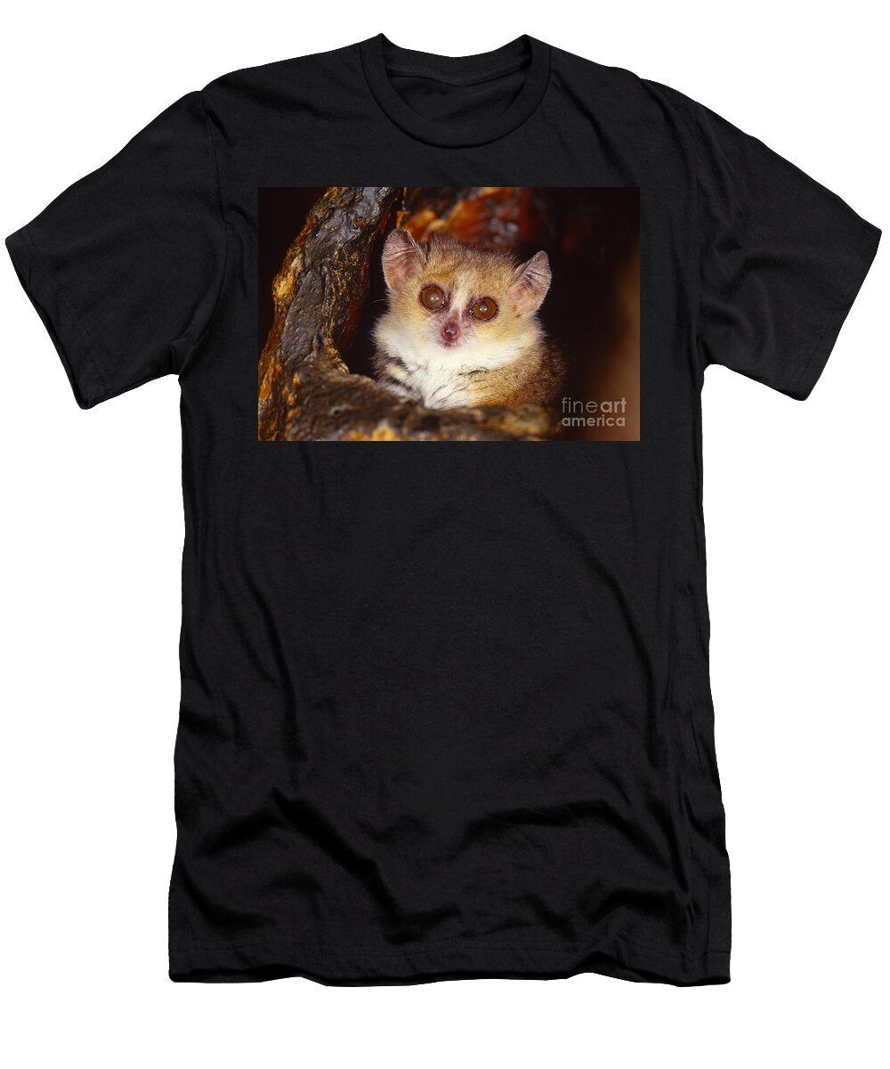 Gray Mouse Lemur Madagascar Art Wolfe T-Shirt