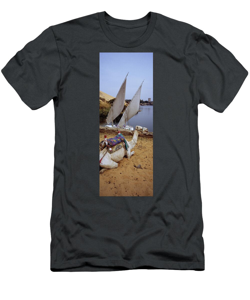 High Angle View of a Camel Resting Animal Images T-Shirt