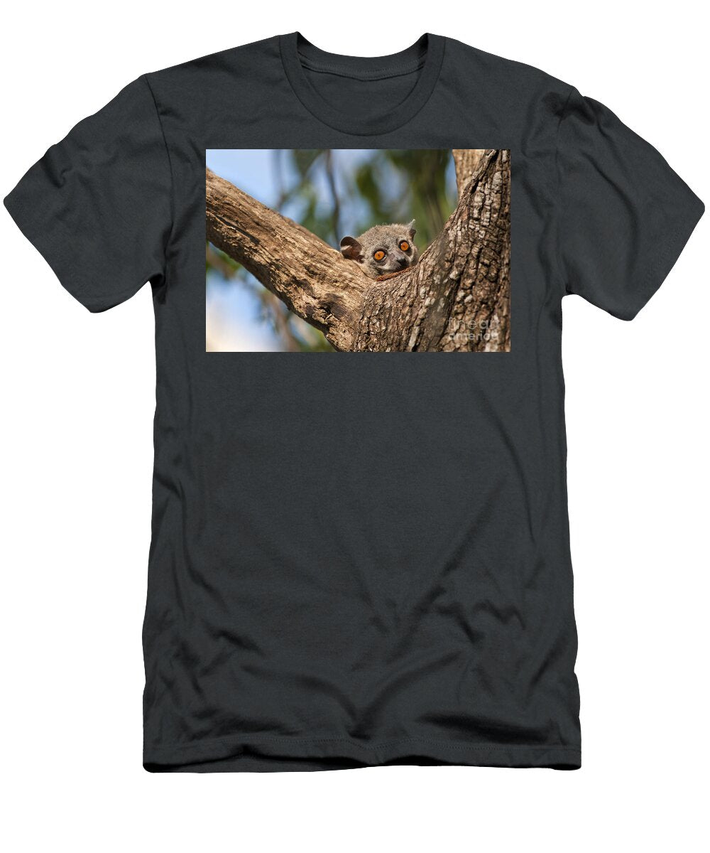 Randrianasolis Sportive Lemur Tony Camacho T-Shirt