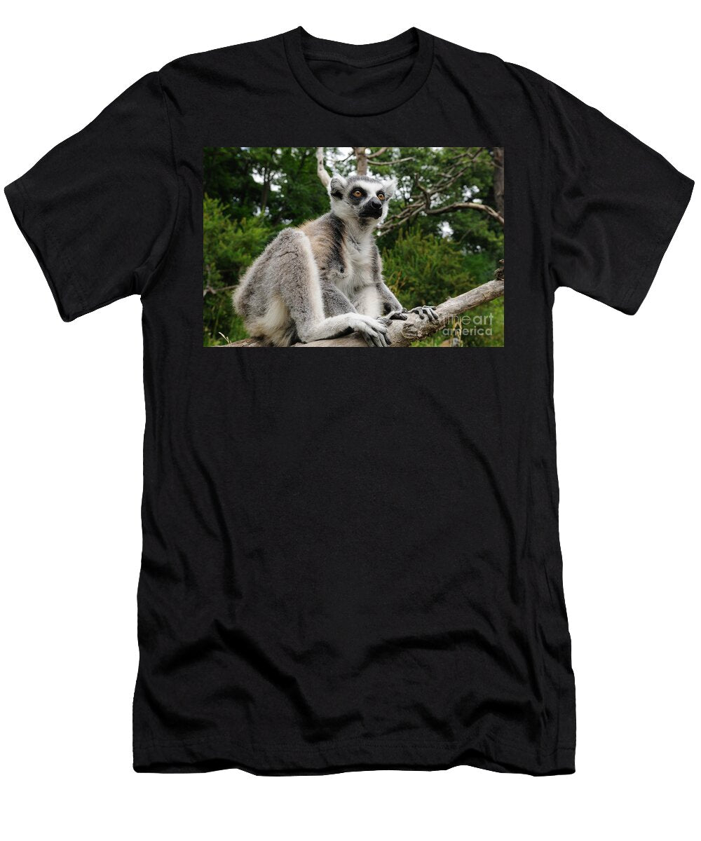 Ring Tailed Lemur David Micha Sheldon T-Shirt