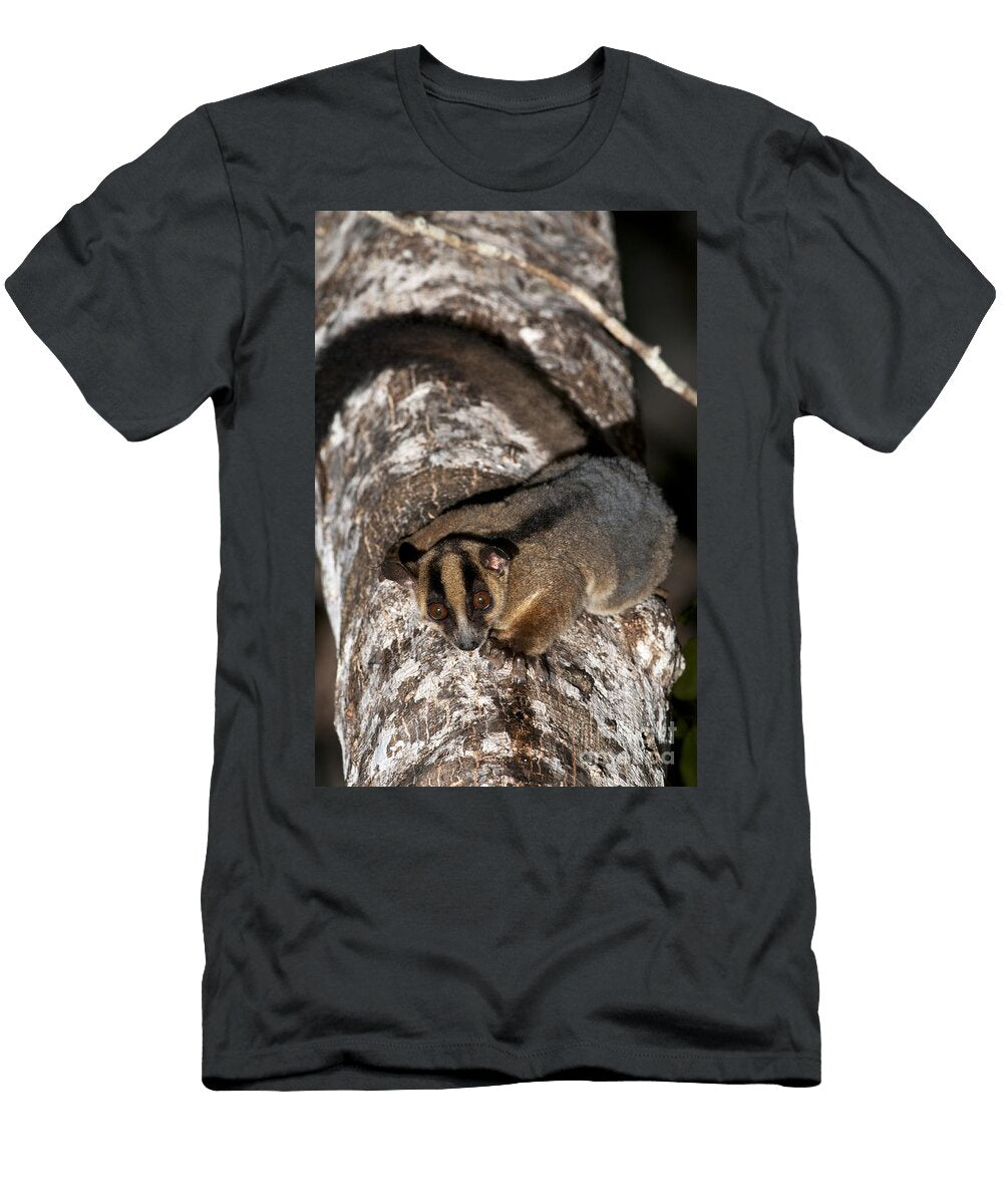 Western Fork Marked Lemur Tony Camacho T-Shirt